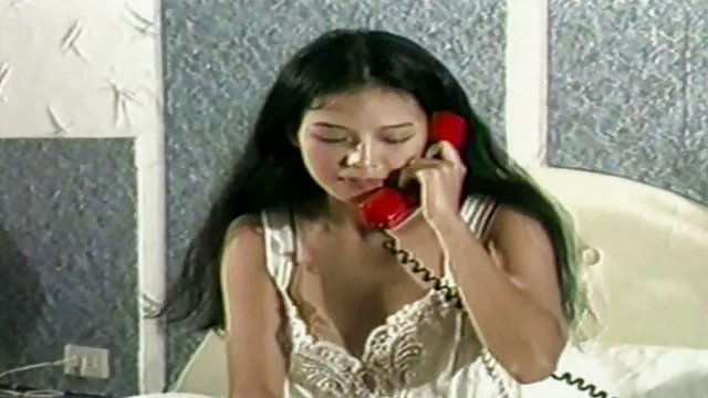 مالکان منحرف در آلمان به الاغ می کشند