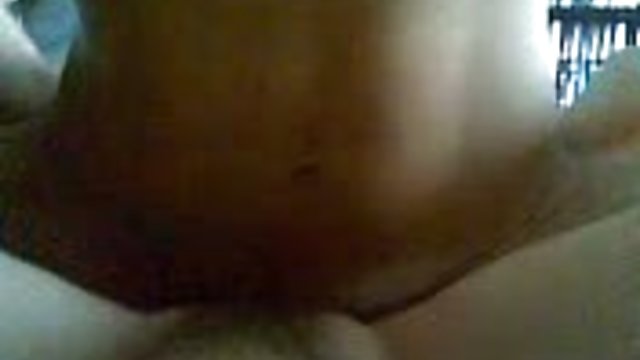 گربه ژاپنی نیاز به عمل زیادی دارد